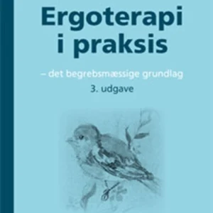 Ergoterapi i praksis