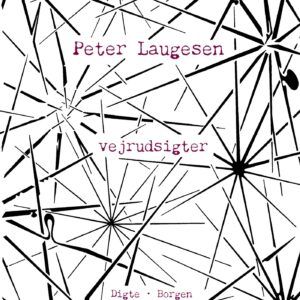 Vejrudsigter - Peter Laugesen - Bog