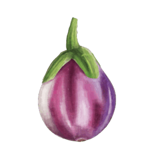 Aubergine 'Rotonda Bianca'