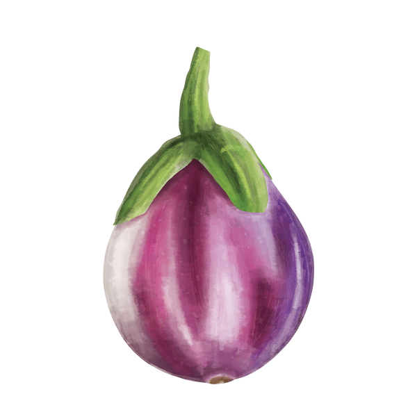 Aubergine 'Rotonda Bianca'