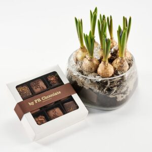 Blomstrende forårsgave - Send blomster med Bloomit