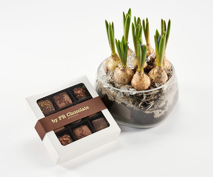 Blomstrende forårsgave - Send blomster med Bloomit