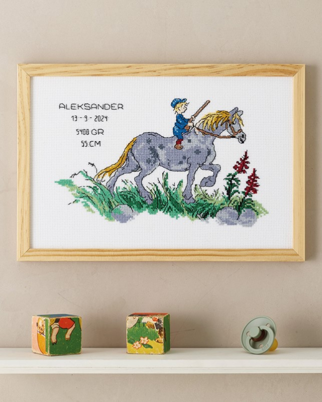 Broderi Kit - Emil & hest