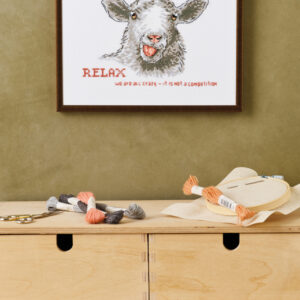 Broderi Kit - Relax, we are all crazy