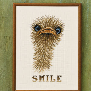 Broderi Kit - "smile" struds