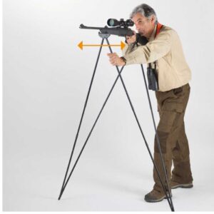 Bush stick light stablestick