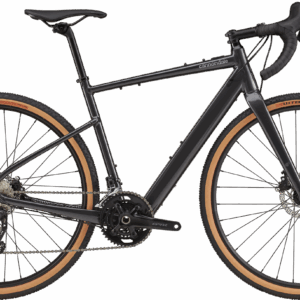 Cannondale Topstone Neo SL 2 2024 - Grå