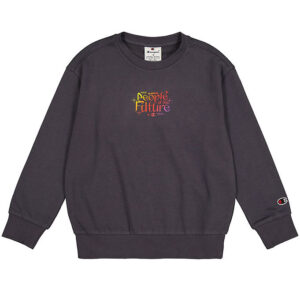 Champion Sweatshirt - Grå