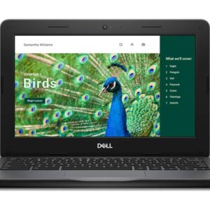 Dell Chromebook 3120 (2024) Bærbar PC - Intel N-series N100 - 4 GB LPDDR5 - 64 GB eMMC - 11.6" TN
