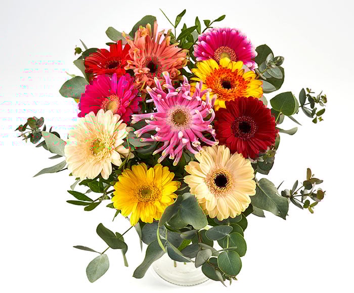 Farverig buket gerbera - Send blomster med Bloomit