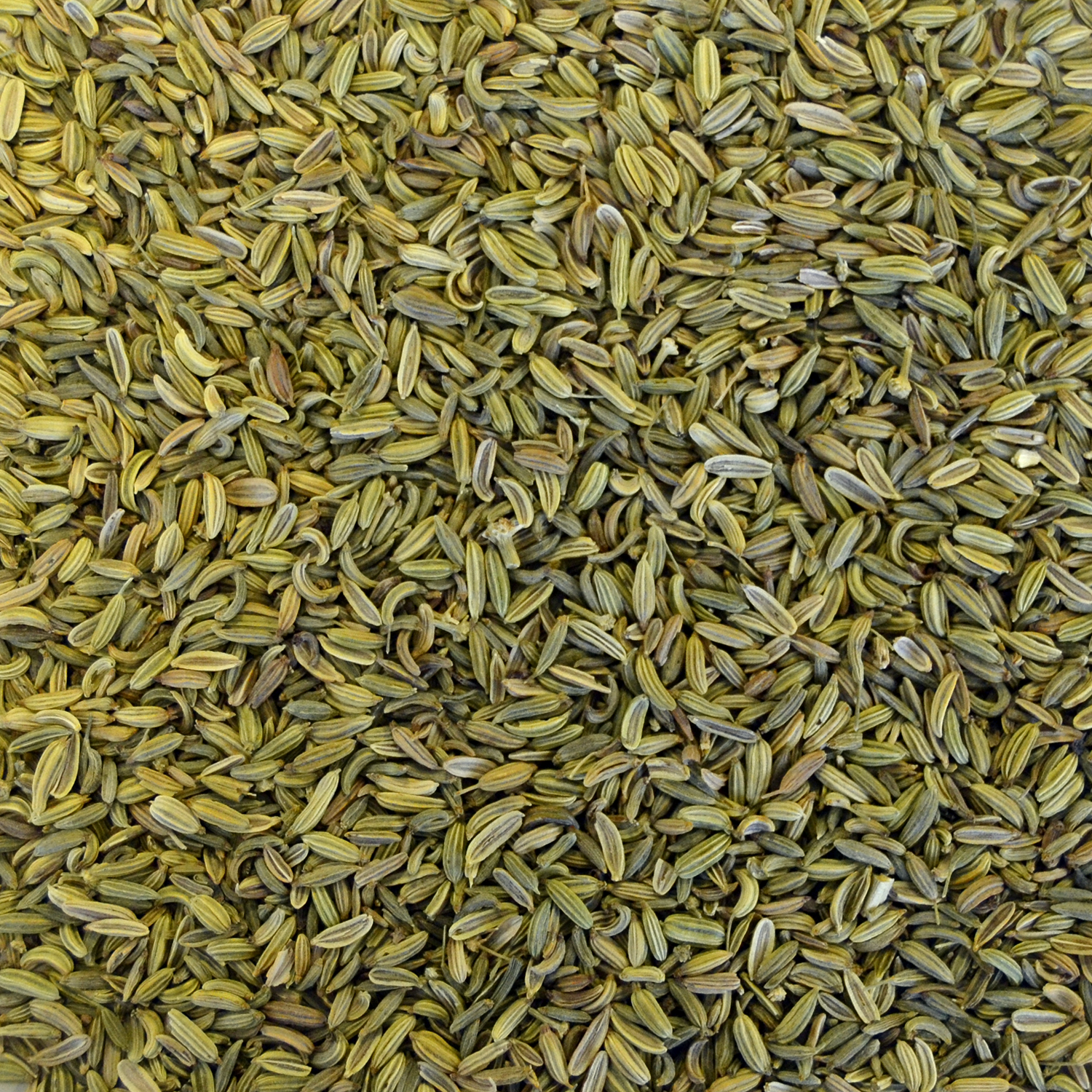Fennikelkerner 1 kg 100 g