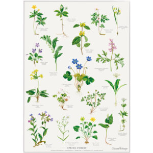 Forårsskoven - Plakat A2