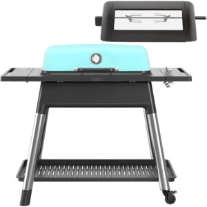 Furnace gasgrill + rottiseri, mat mint