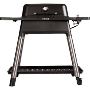 Gasgrill E2G2B Force, Mat Sort