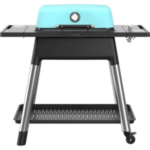 Gasgrill E2G2M Force, mat mint