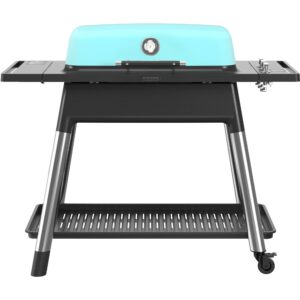 Gasgrill E3G2M Furnace, matt mint