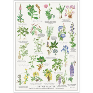 Giftige Planter - Plakat A2
