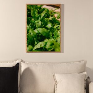 Green Leaf - Vælg mellem fire plakat størrelser 30 x 40 cm.