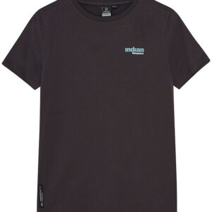Indian Blue Jeans T-shirt - Antra Ash m. Print