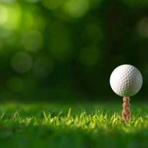 Kikkerland - Golf Tee - Gnaver - Plastik - 6 Stk