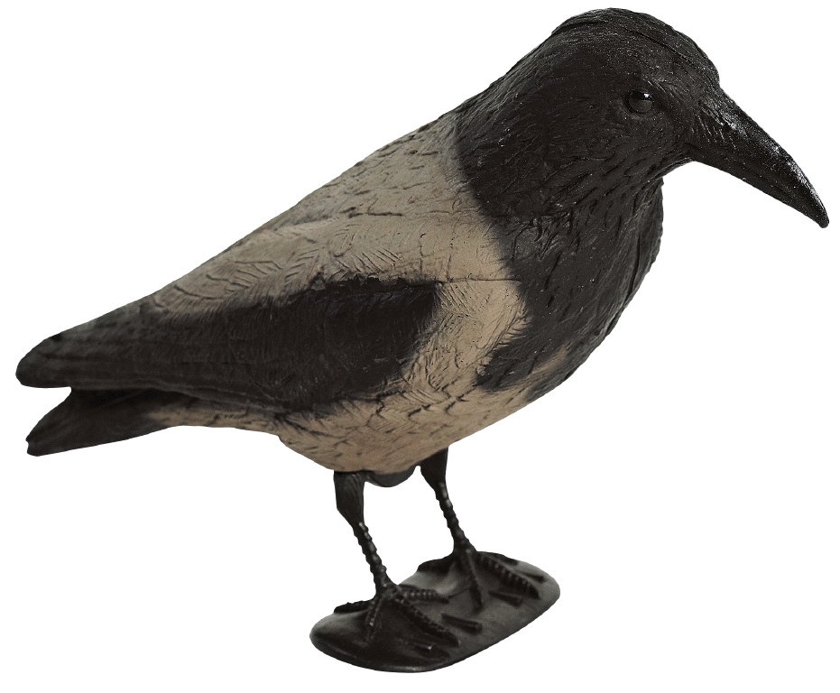 Krage grå/sort med ben /flock