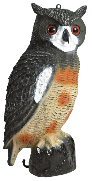 Krageugle 40cm