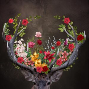 Kronhjort med blomster 2 plakat
