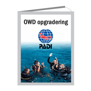 PADI Opgradering til OWD dykkercertifikat