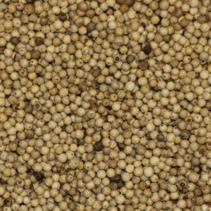 Peber, hel, hvid 1 kg 1 kg