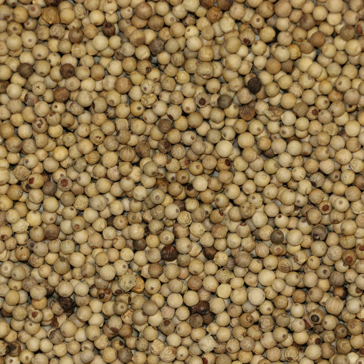 Peber, hel, hvid 1 kg 1 kg