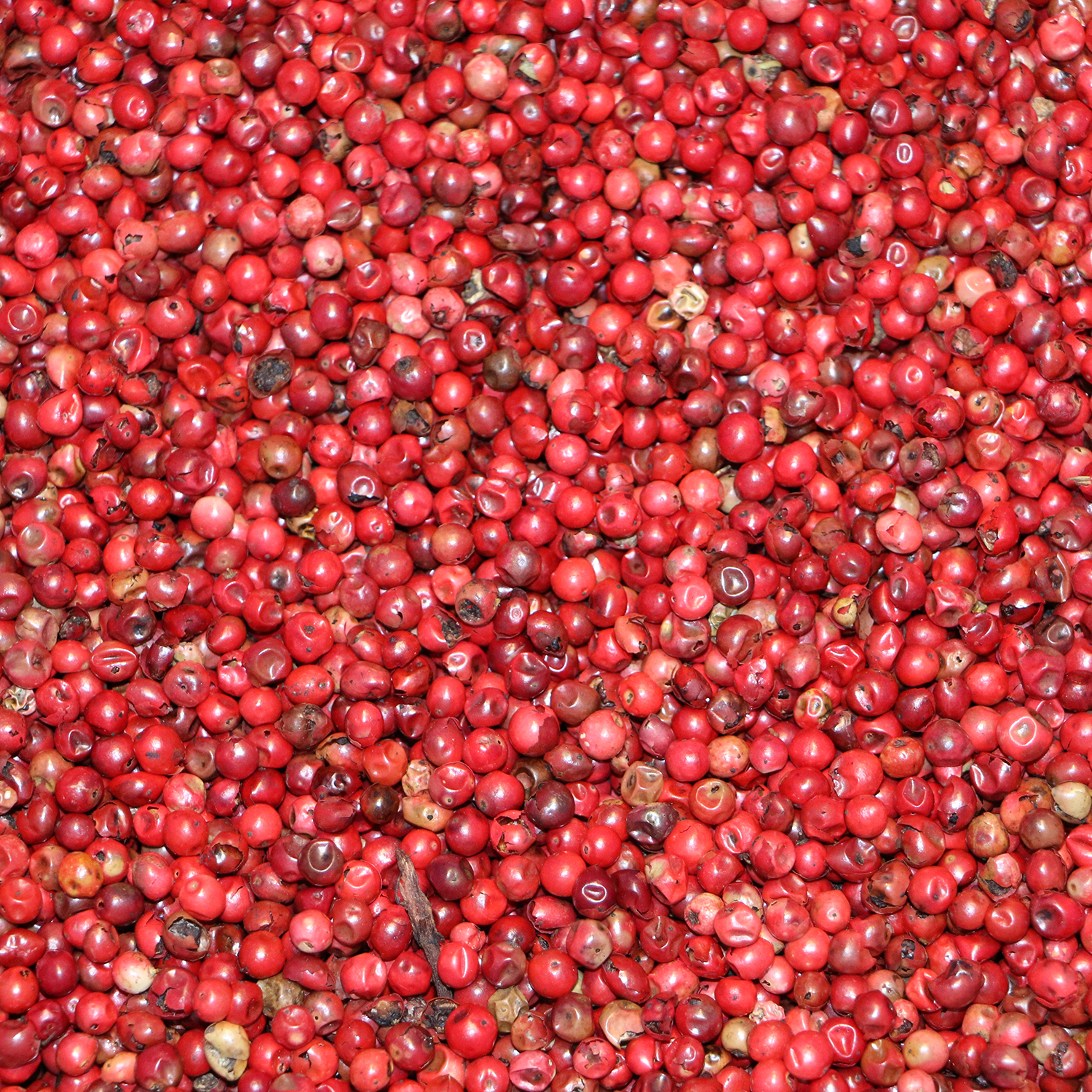 Peber, hel, rosa 1 kg 1 kg