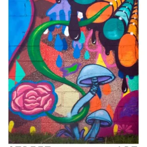Philadelphia Street Murial Plakat