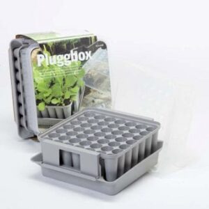 Plugbox med plads til 49 planter