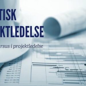 Praktisk Projektledelse - 12 ugers kursus