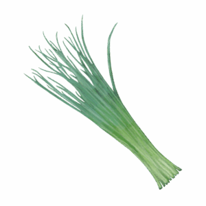 Purløg 'Alm. Purløg'