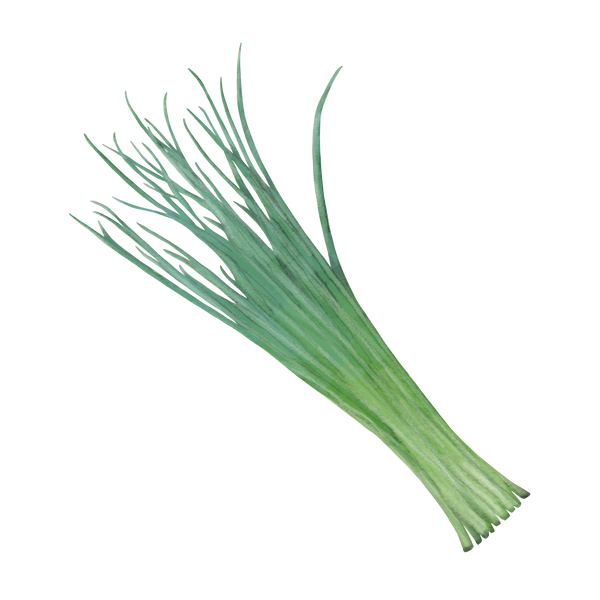 Purløg 'Alm. Purløg'