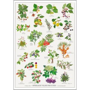 Spiselige vilde frugter - Plakat A4