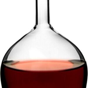 Winkee - Upside Down Wine Glass